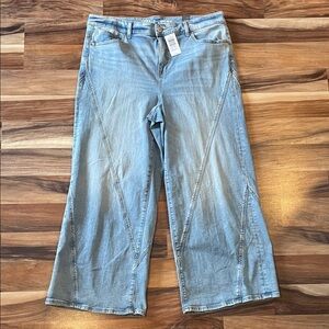 NWT Torrid High-Rise Wide Leg Twisted Seams jean in a size 18 regular